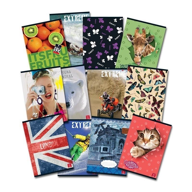 Caiet scolar A5 Pigna Clasic, 48 file, velin, coperta color, diverse modele