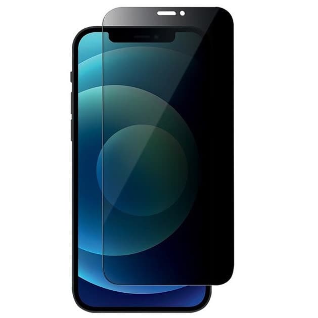 Folie de sticla Apple iPhone 13 Pro Max, Full Glue Privacy — principală