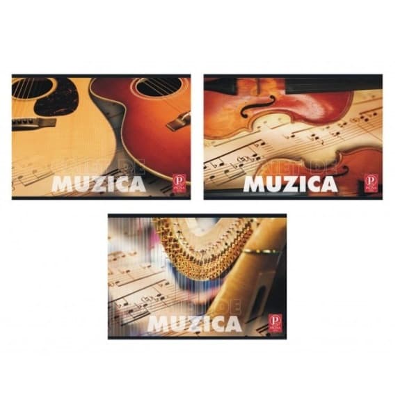 Caiet special A5 Pigna, 24 file, muzica, diverse modele 1